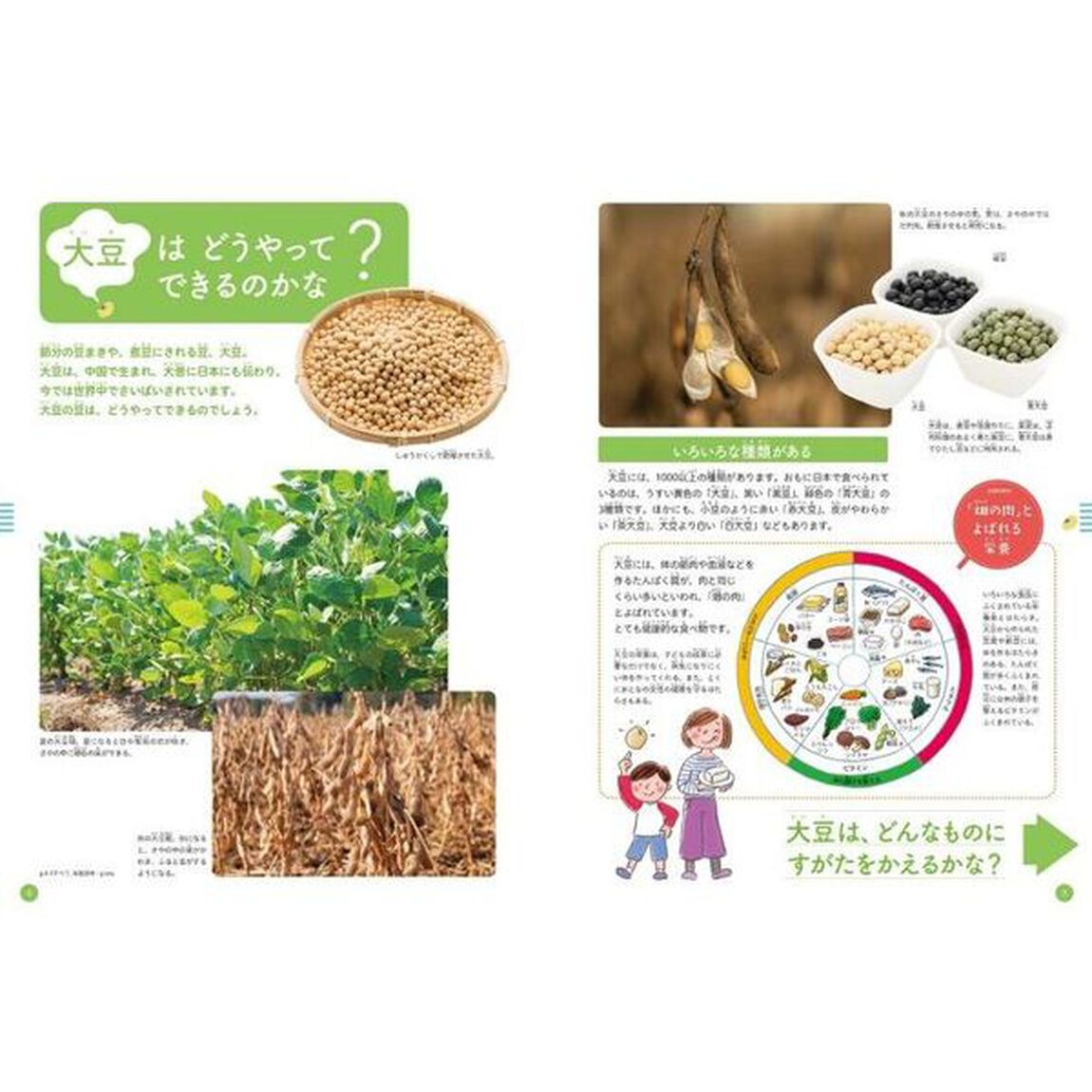 食べ物のひみつを教えます　〔１〕「大豆・米」