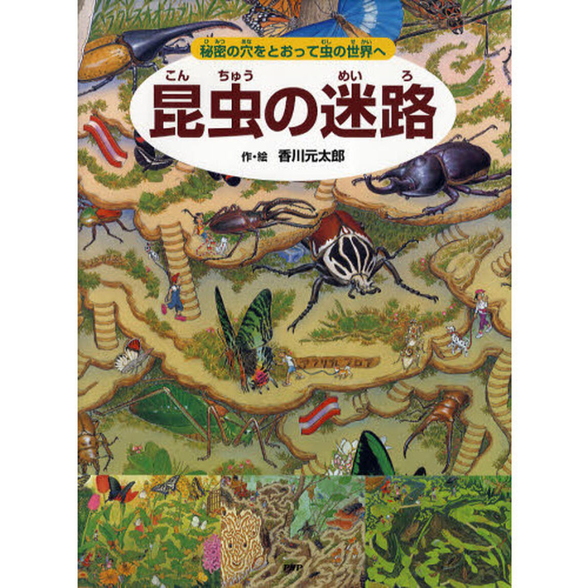 昆虫の迷路　秘密の穴をとおって虫の世界へ