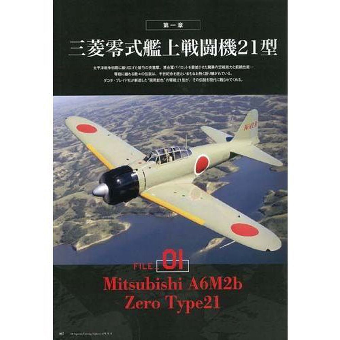 現存レシプロ戦闘機１０傑　第二次大戦機ＤＶＤアーカイブ　大戦機１０機種、すべてを空撮！
