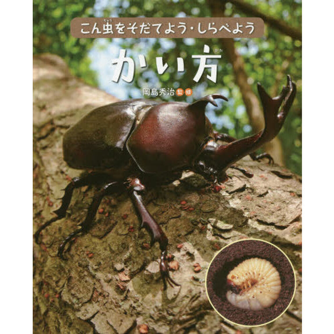 こん虫をそだてよう・しらべよう　〔２〕「かい方」