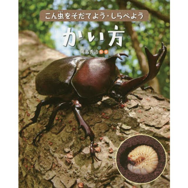 こん虫をそだてよう・しらべよう　〔２〕「かい方」