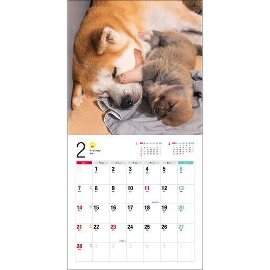&rsquo;２７　カレンダー秋田犬
