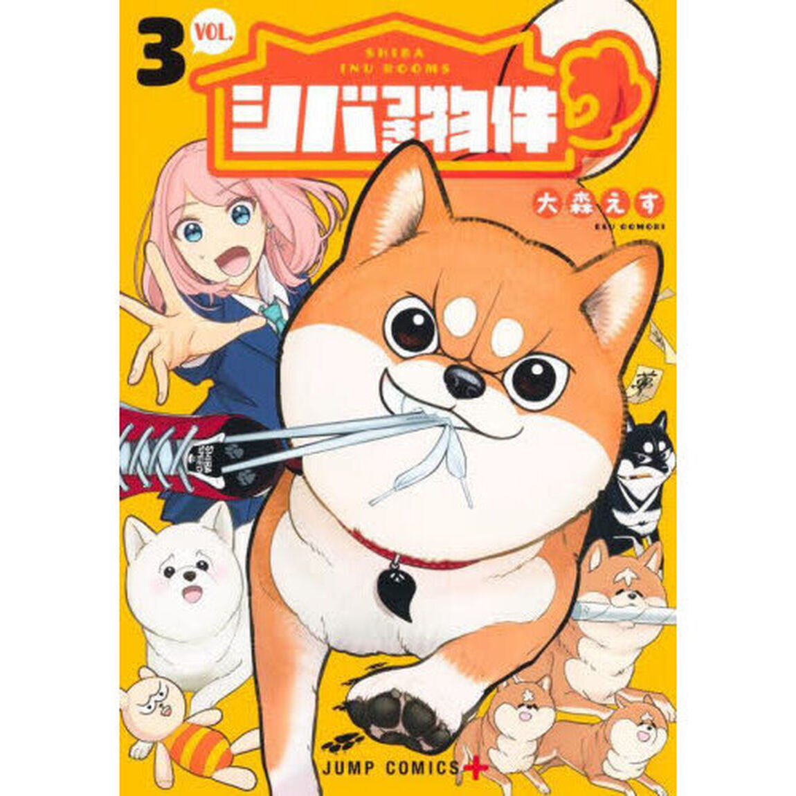 シバつき物件 3
