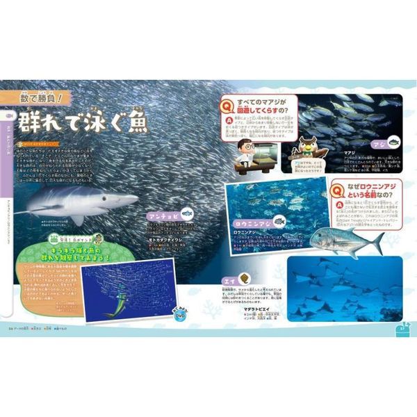 あつまれどうぶつの森島の生きもの図鑑 - 通販｜セブンネットショッピング