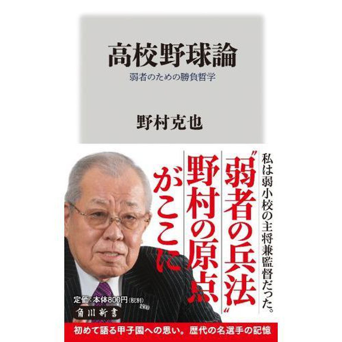 高校野球論　弱者のための勝負哲学