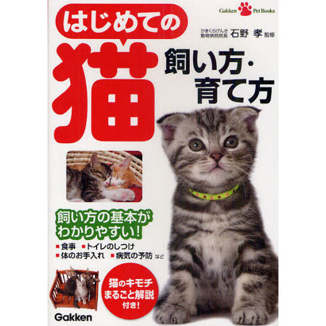 はじめての猫飼い方・育て方