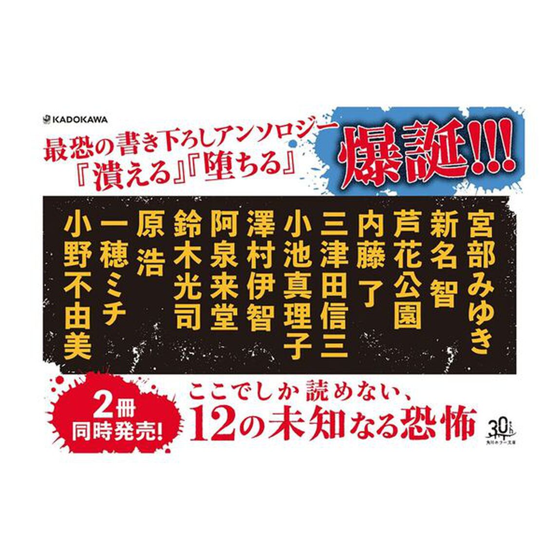 堕ちる　最恐の書き下ろしアンソロジー
