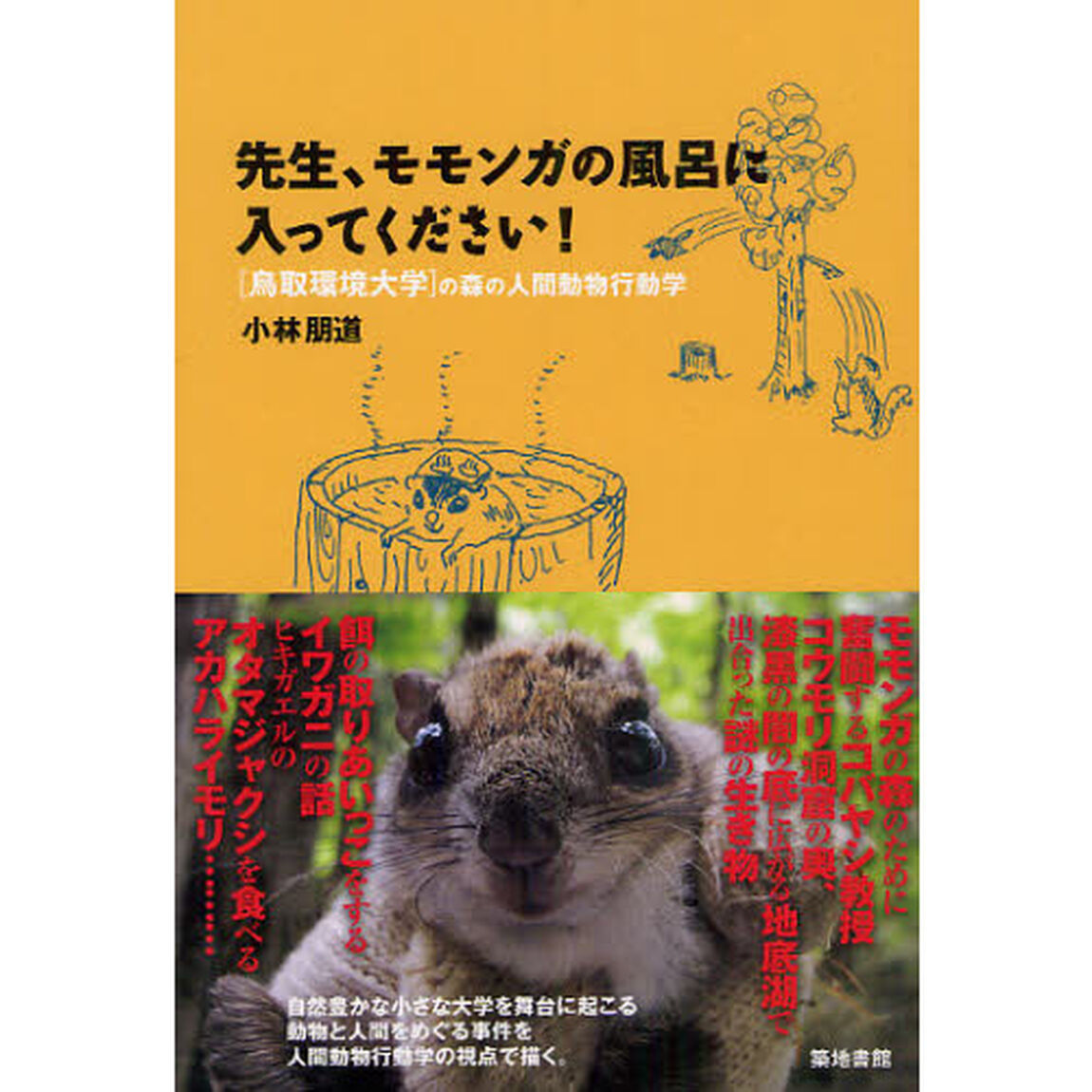 先生、モモンガの風呂に入ってください！