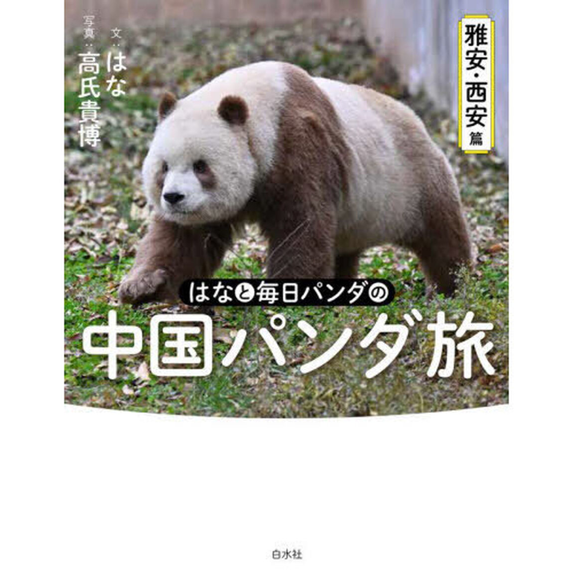 はなと毎日パンダの中国パンダ旅　雅安・西安篇