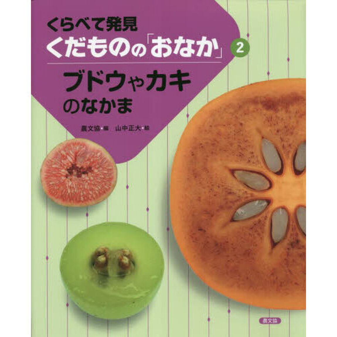 くらべて発見くだものの「おなか」　２「ブドウやカキのなかま」
