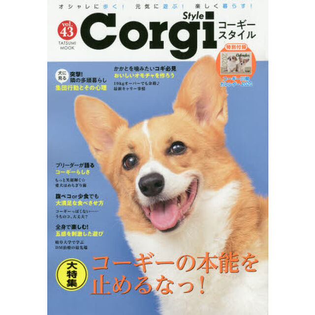コーギースタイル　オシャレに歩く！元気に遊ぶ！楽しく暮らす！　Ｖｏｌ．４３「〈保存版大特集〉本能を刺激すればコーギーの魅力はさらにアップ！」