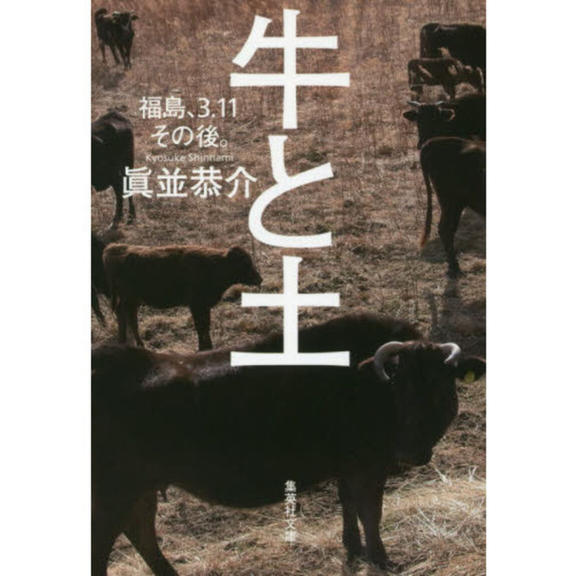 牛と土　福島、３．１１その後。