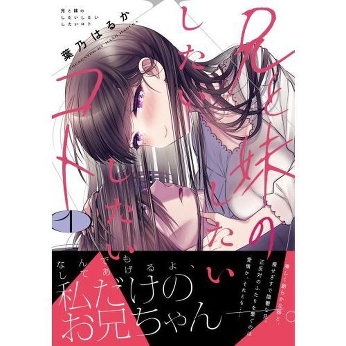 兄と妹のしたいしたいしたいコト　１