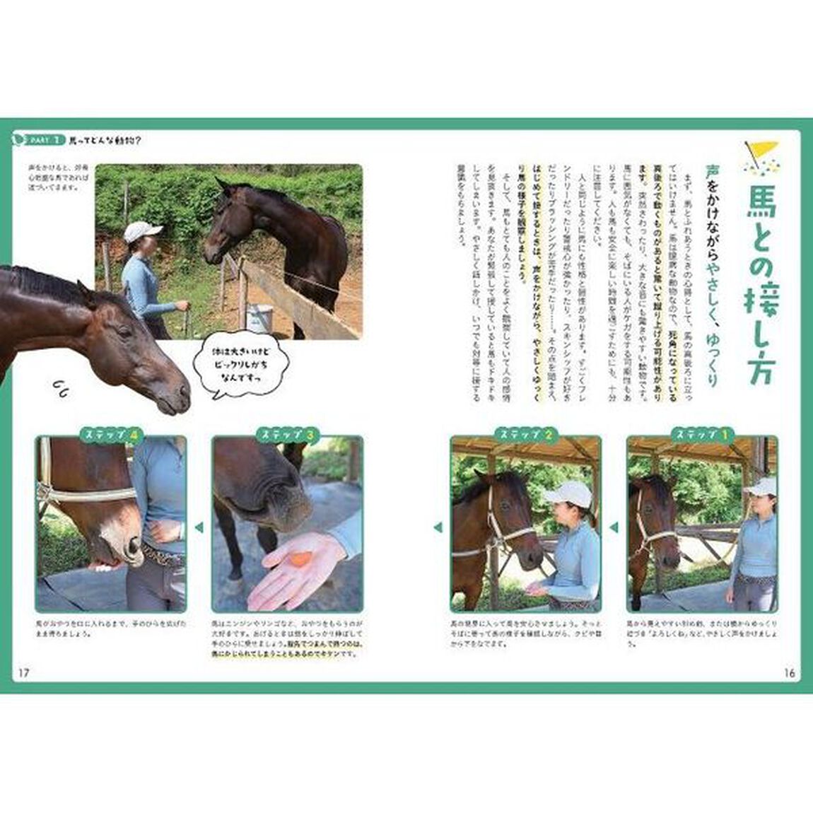 乗馬初心者さんのためのこんなときどうしたら？Ｑ＆Ａ