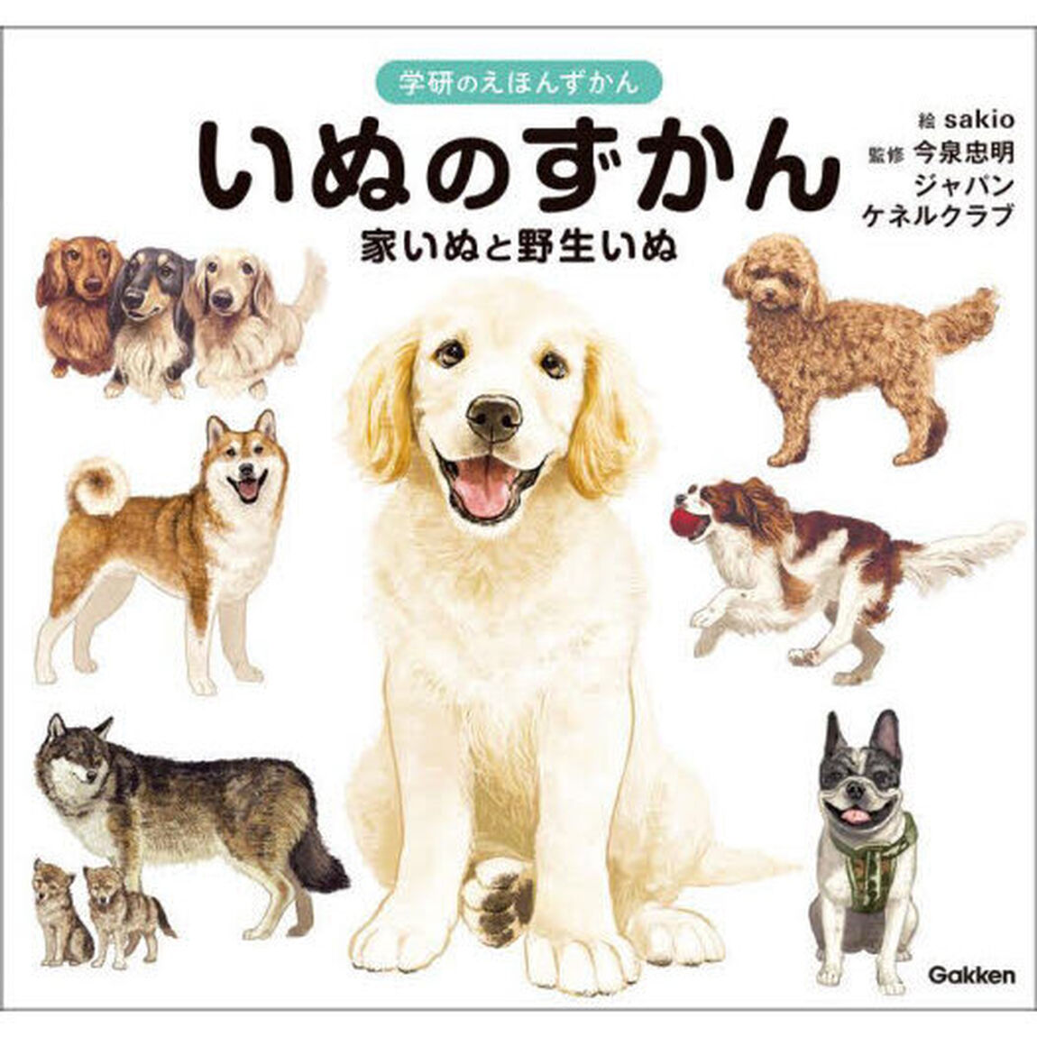 いぬのずかん　家いぬと野生いぬ