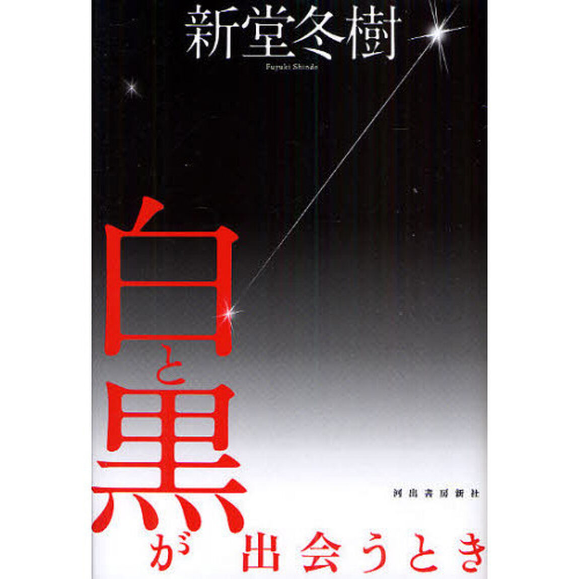 白と黒が出会うとき