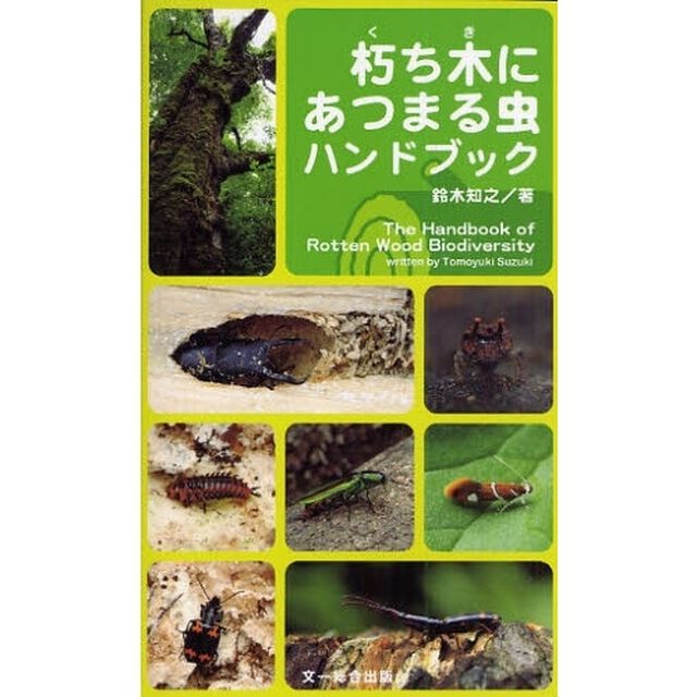朽ち木にあつまる虫ハンドブック　Ｌｅｔ&rsquo;ｓ　ｅｎｊｏｙ　ＫＵＣＨＩＫＩ！