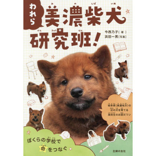 われら美濃柴犬研究班！