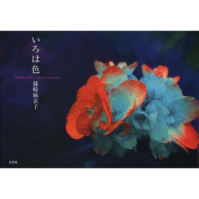 いろは色