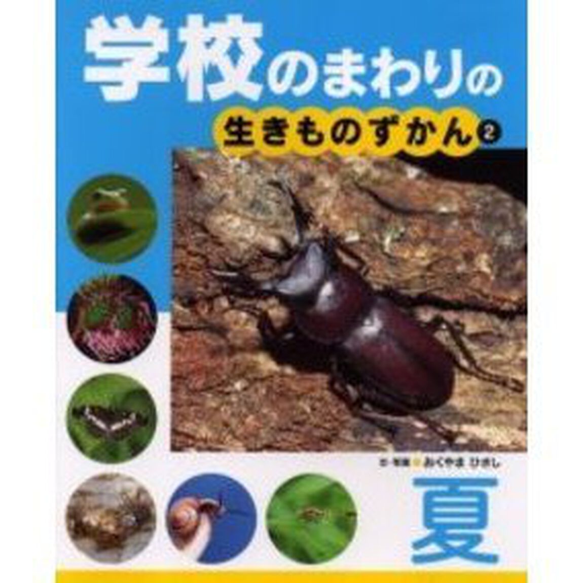 学校のまわりの生きものずかん　２「夏」