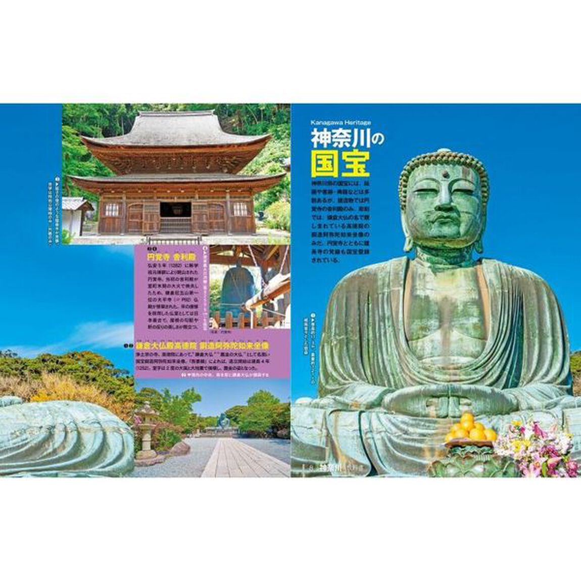 神奈川の教科書