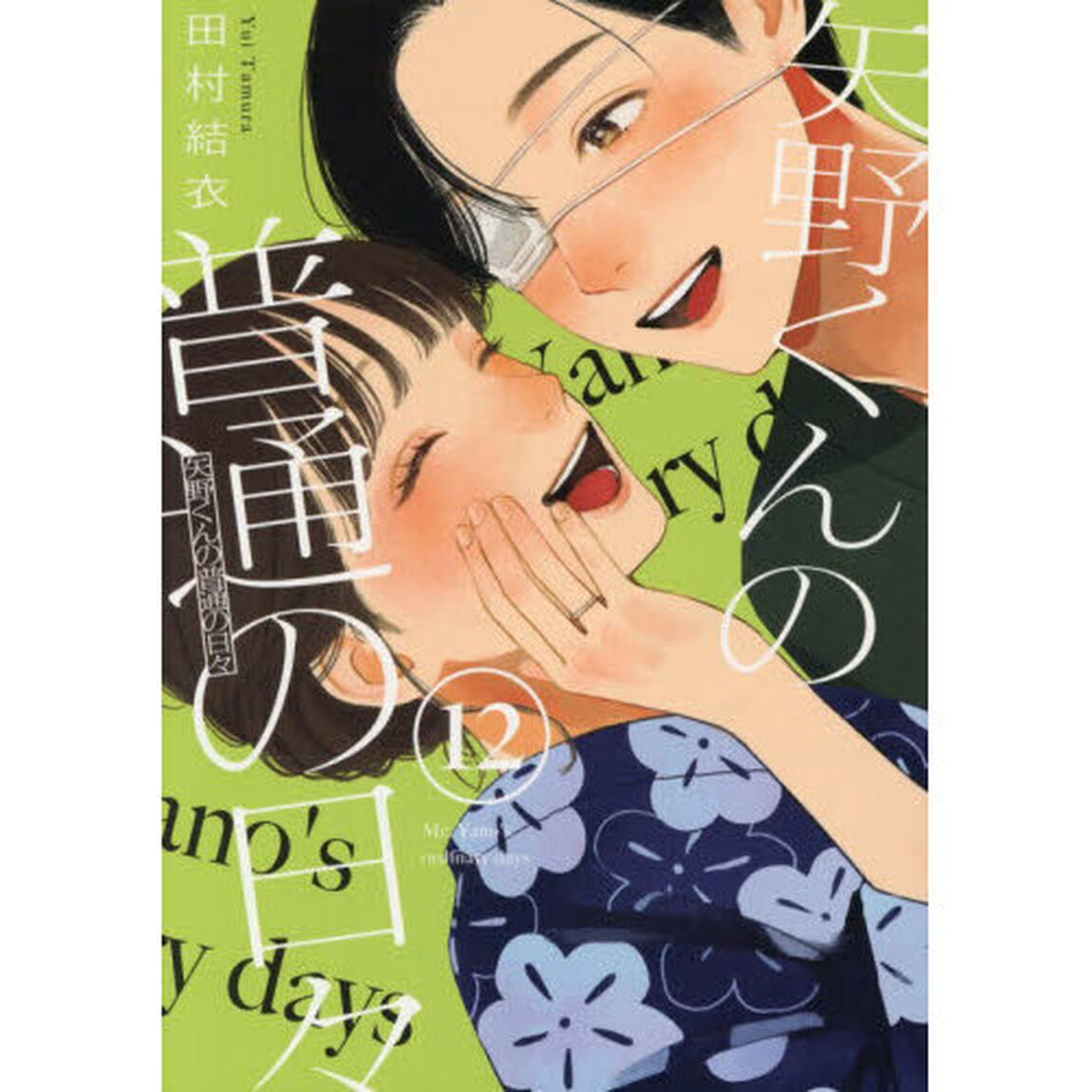 矢野くんの普通の日々 12