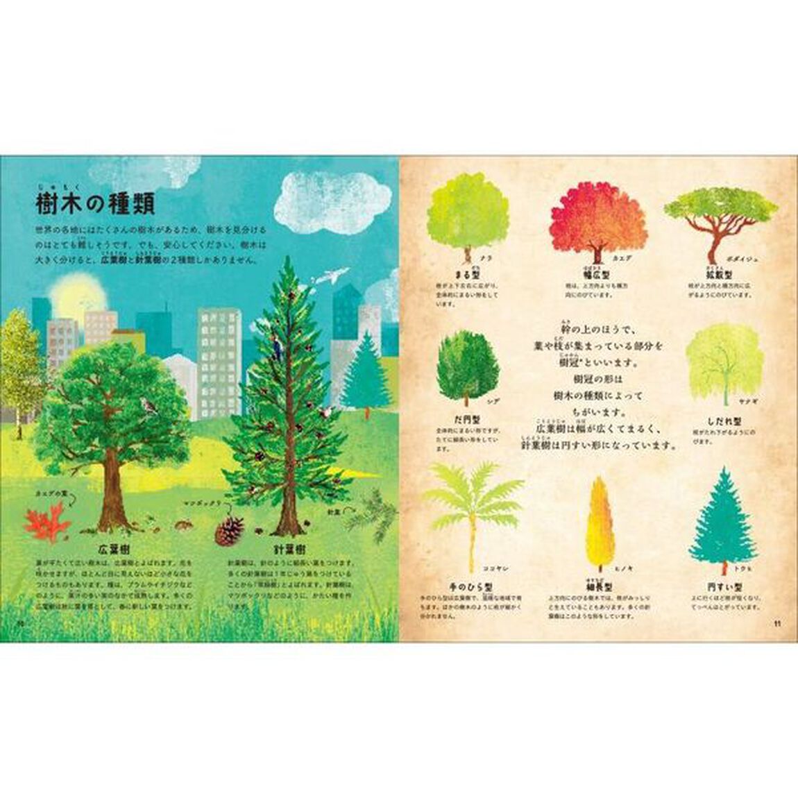 奇妙で不思議な樹木の世界