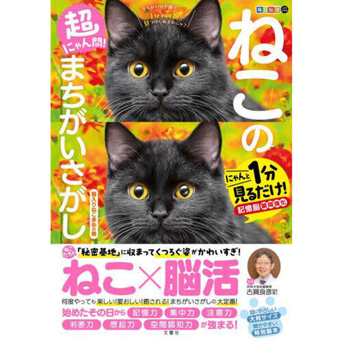 超にゃん問！ねこのまちがいさがし　にゃんと１分見るだけ！記憶脳瞬間強化　箱入りねこ多めの巻