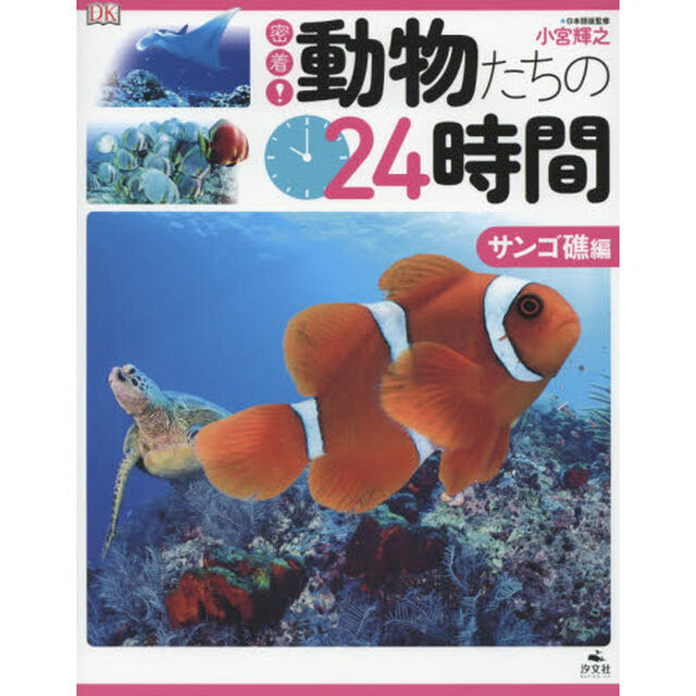 密着！動物たちの２４時間　サンゴ礁編