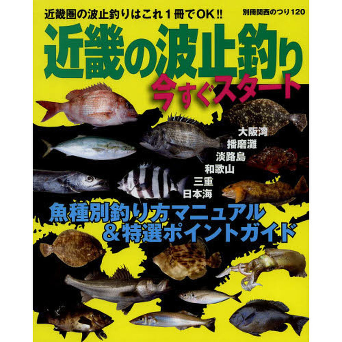 近畿の波止釣り今すぐスタート　近畿圏の波止釣りはこれ１冊でＯＫ！！