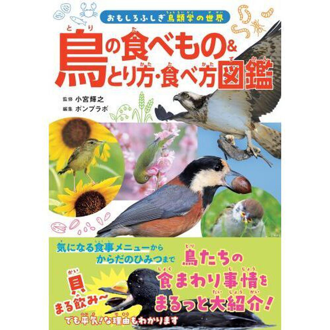 鳥の食べもの＆とり方・食べ方図鑑