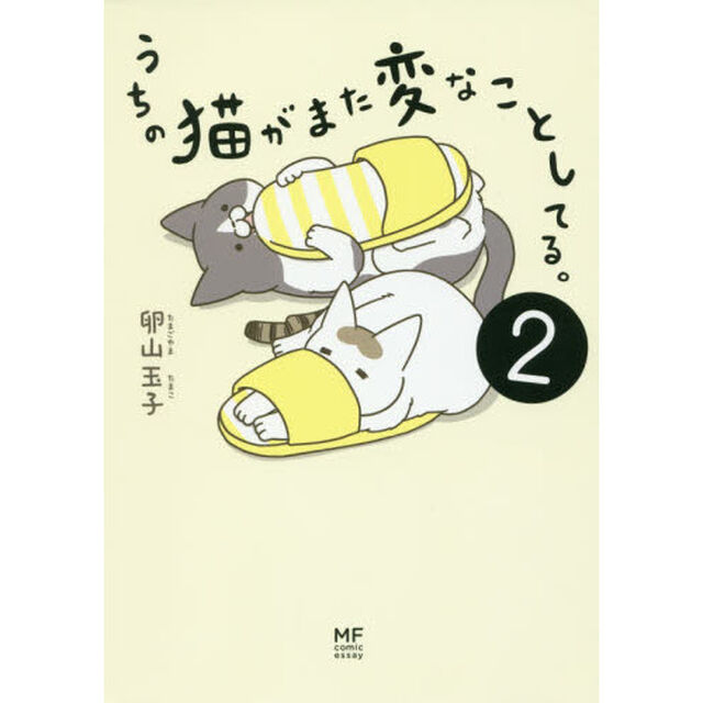 うちの猫がまた変なことしてる。　２