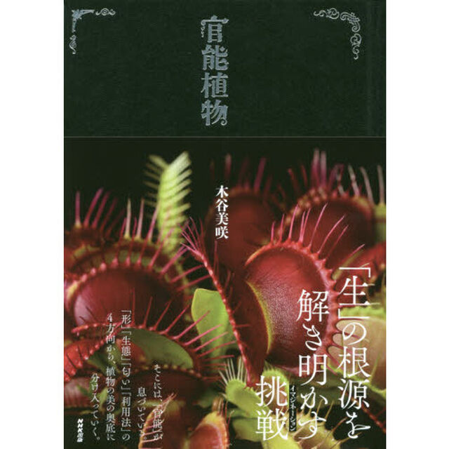 官能植物