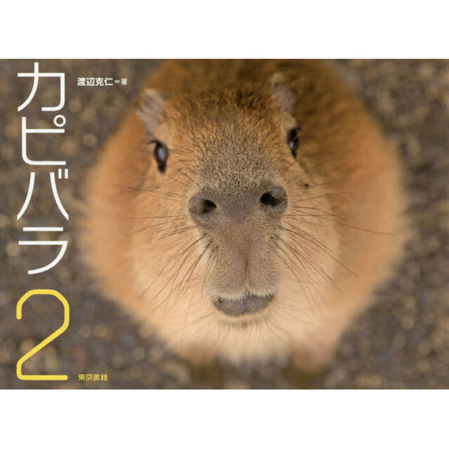 カピバラ　２