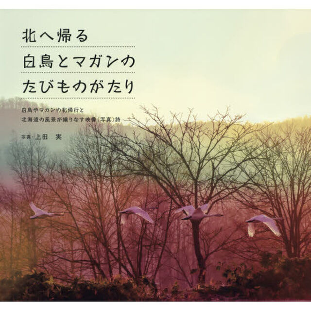北へ帰る白鳥とマガンのたびものがたり　白鳥やマガンの北帰行と北海道の風景が織りなす映像〈写真〉詩