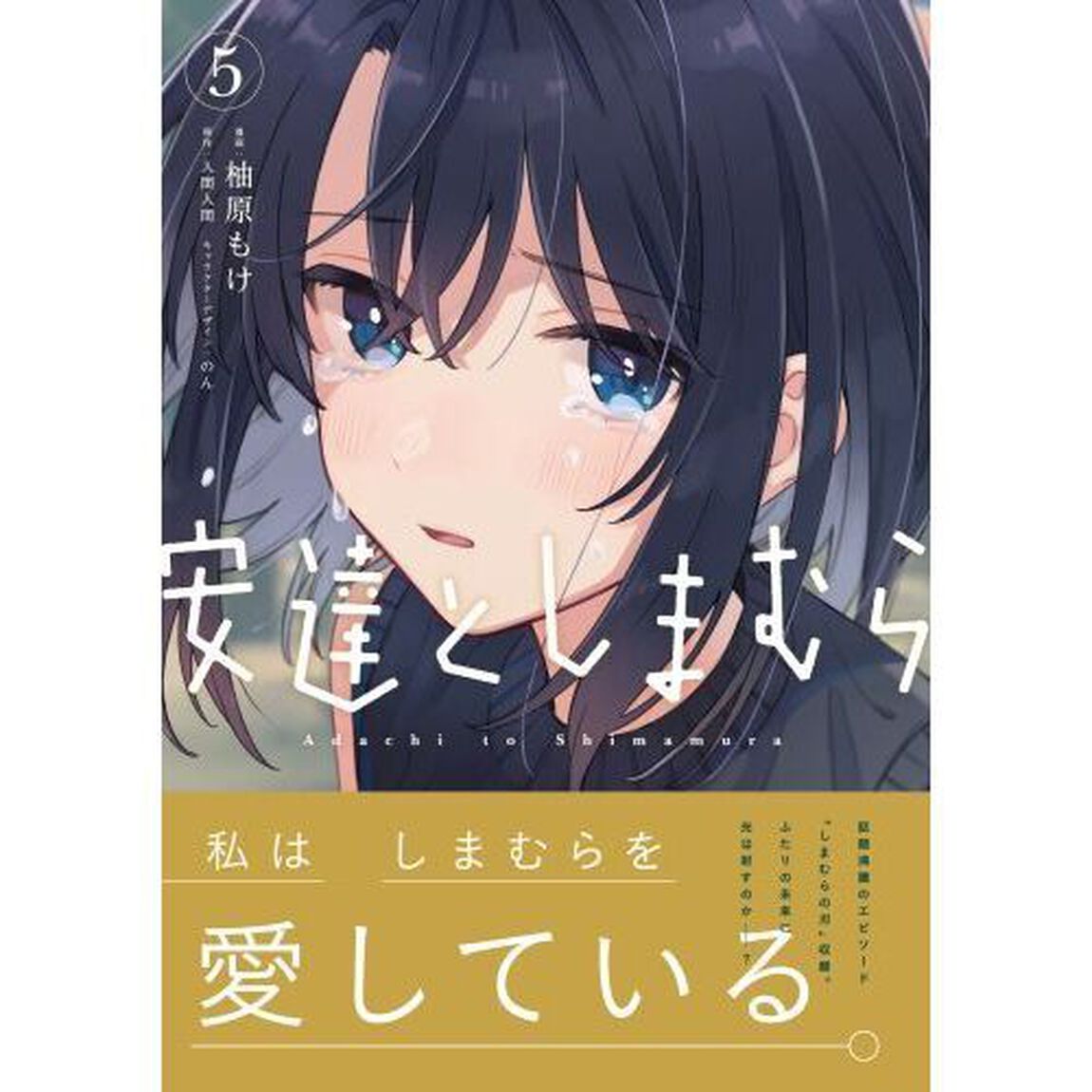 安達としまむら　５
