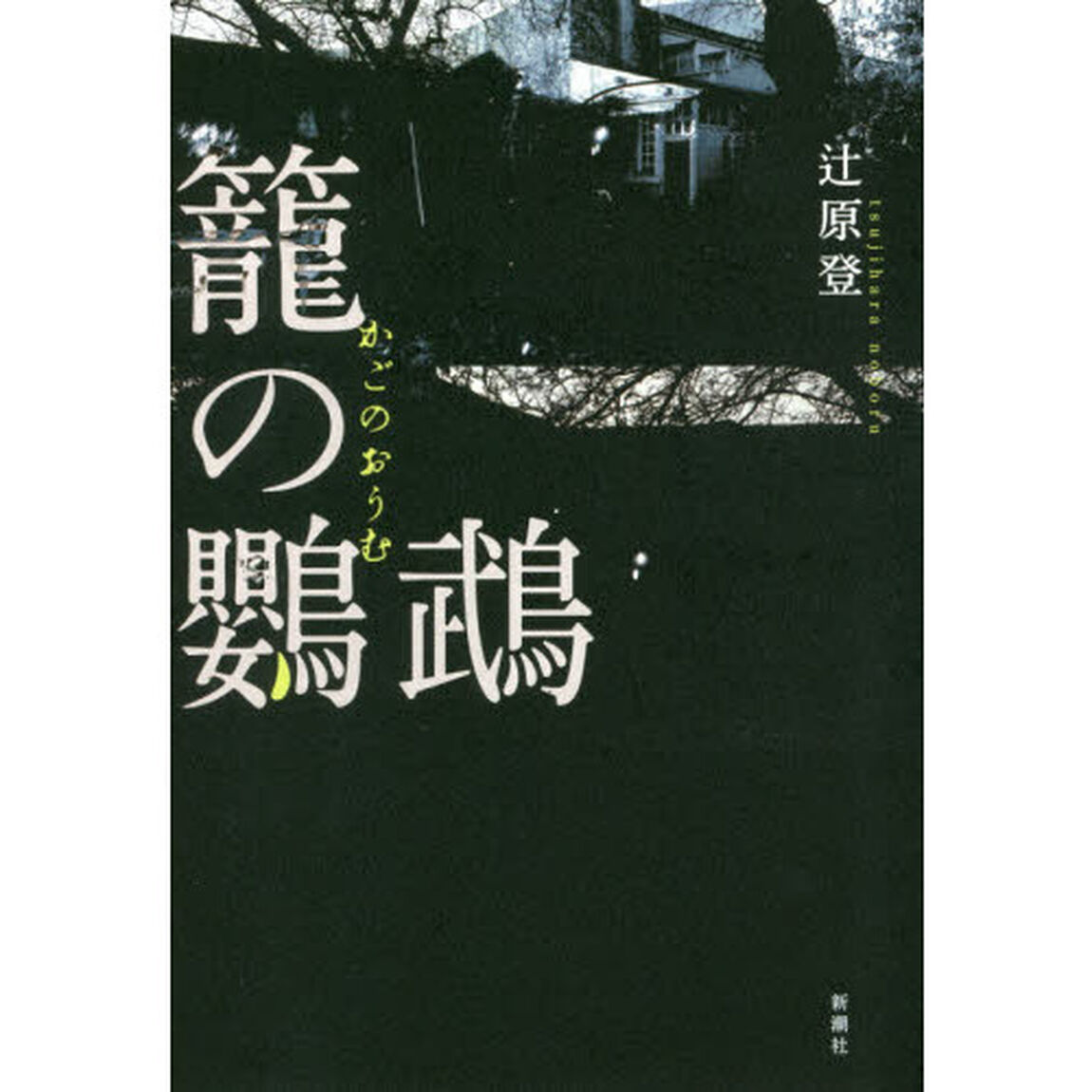 籠の鸚鵡