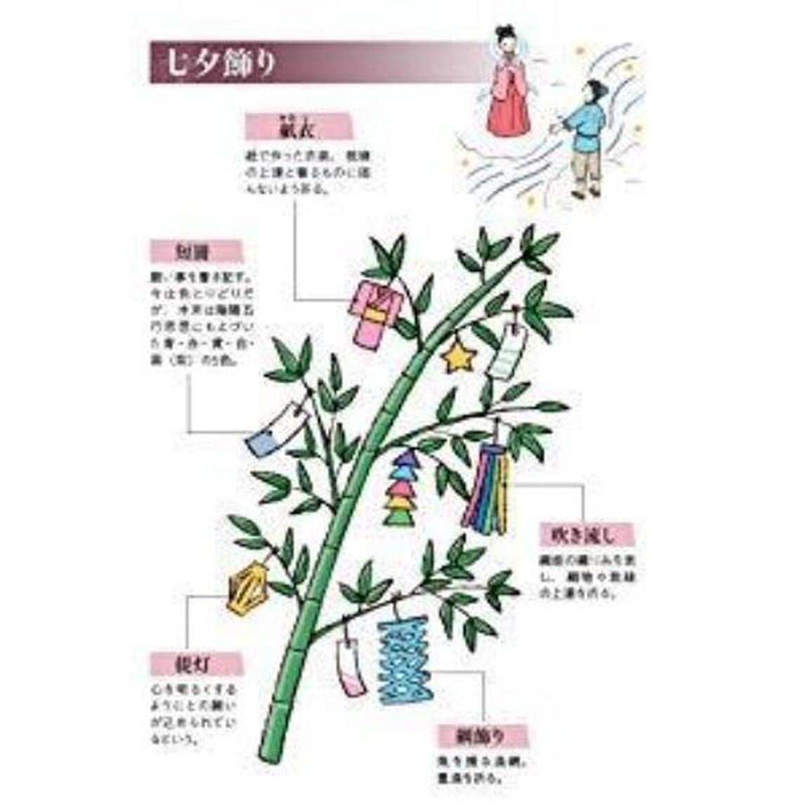 日本文化ビジュアル解体新書