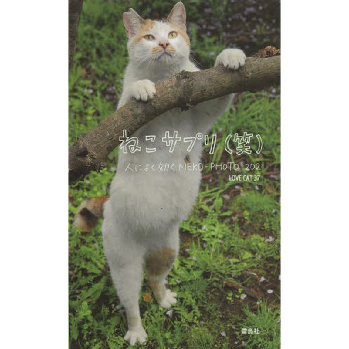 ねこサプリ(笑)人によく効くNEKO-PHOTO202
