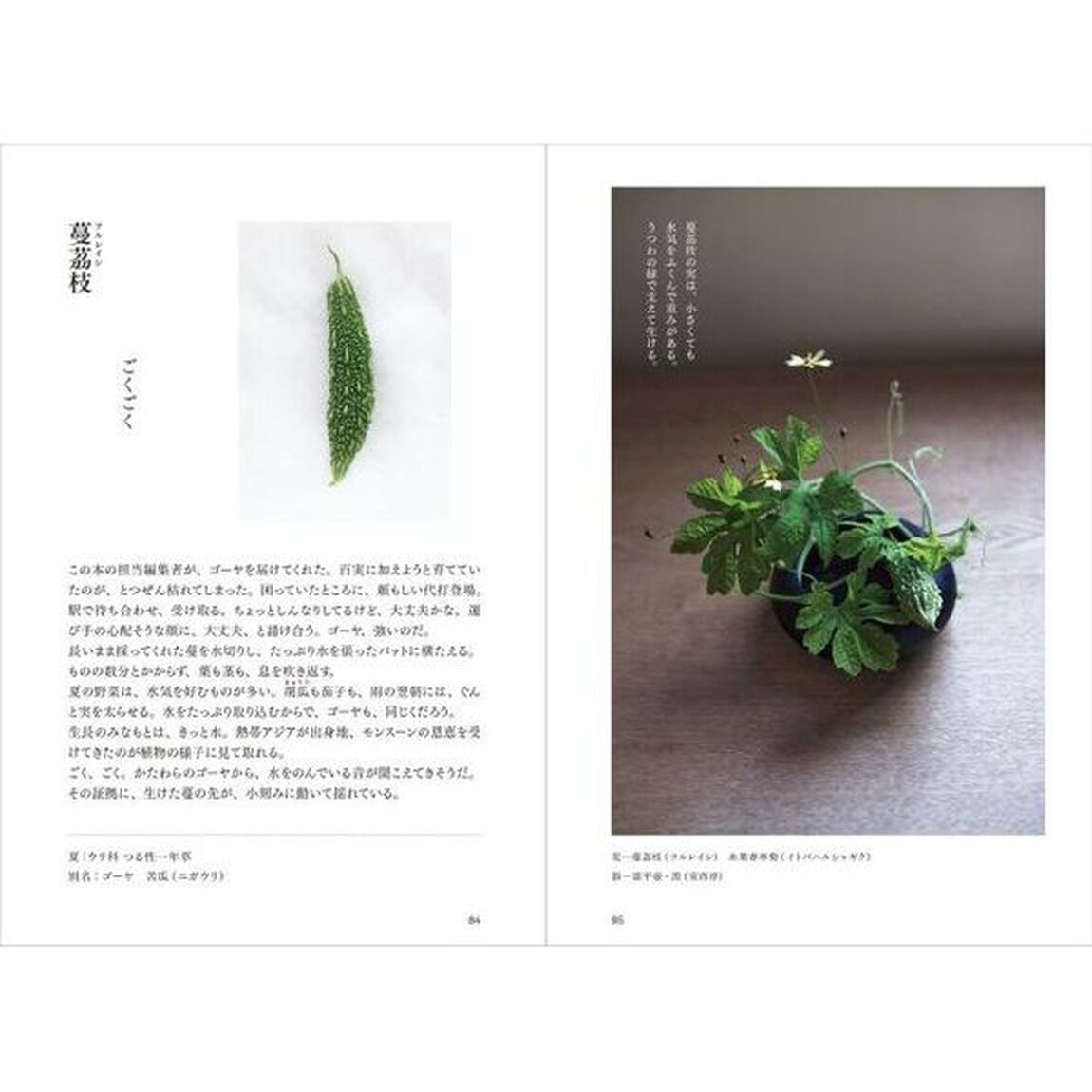 百実帖