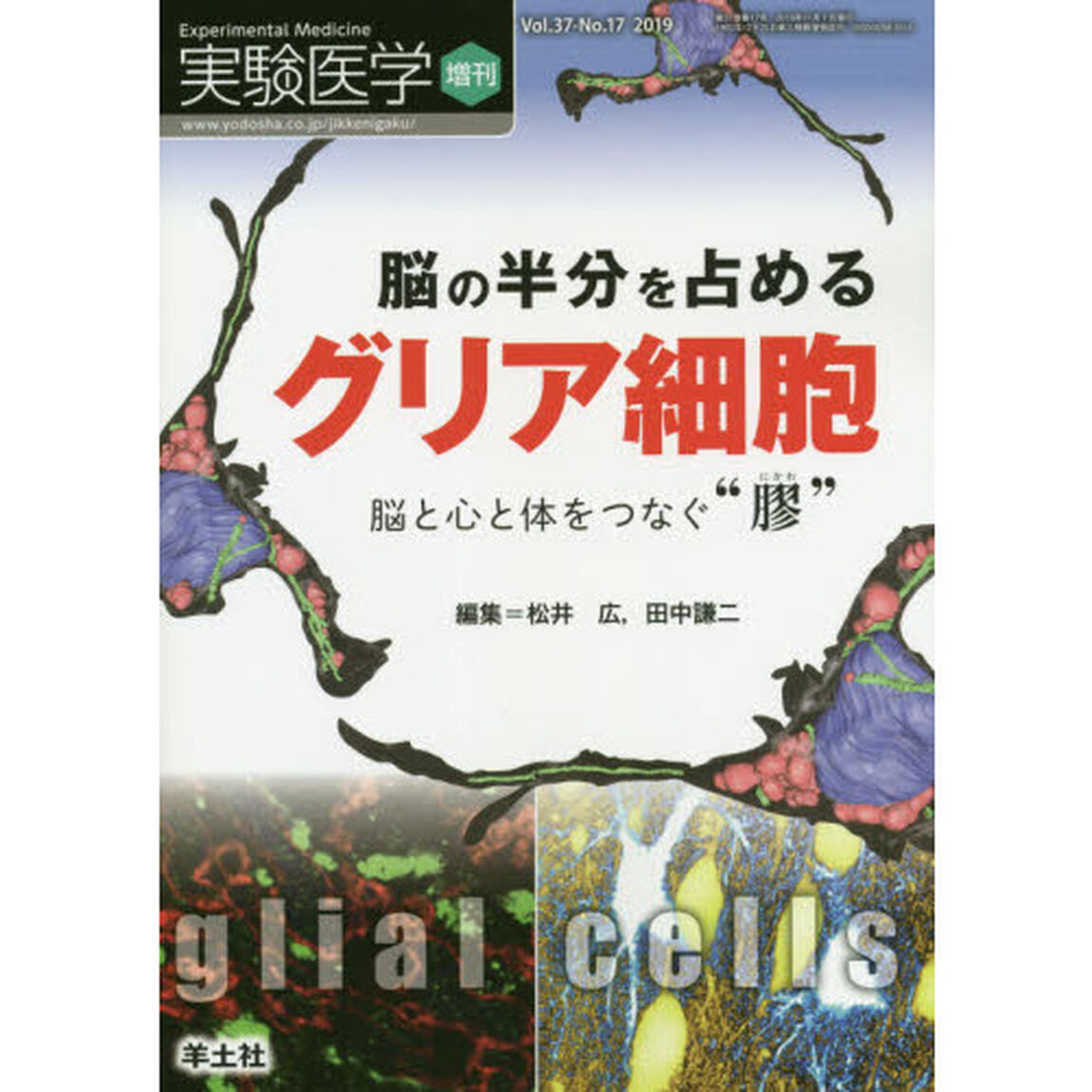 実験医学増刊 Vol.37 No.17 脳の半分を占める グリア細胞〜脳と心と体をつなぐ&ldquo;膠&rdquo;「脳の半分を占めるグリア細胞　脳と心と体をつなぐ&ldquo;膠&rdquo;」