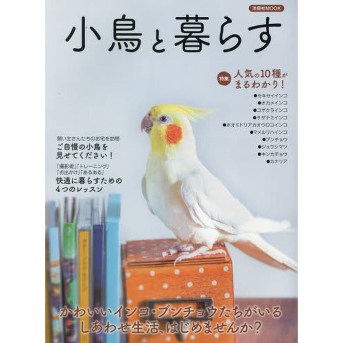 小鳥と暮らす　かわいいインコ・ブンチョウたちがいるしあわせ生活、はじめませんか？