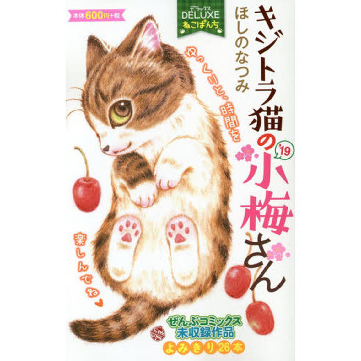 デラックスねこぱんち　&rsquo;１９　キジトラ猫の小梅さん