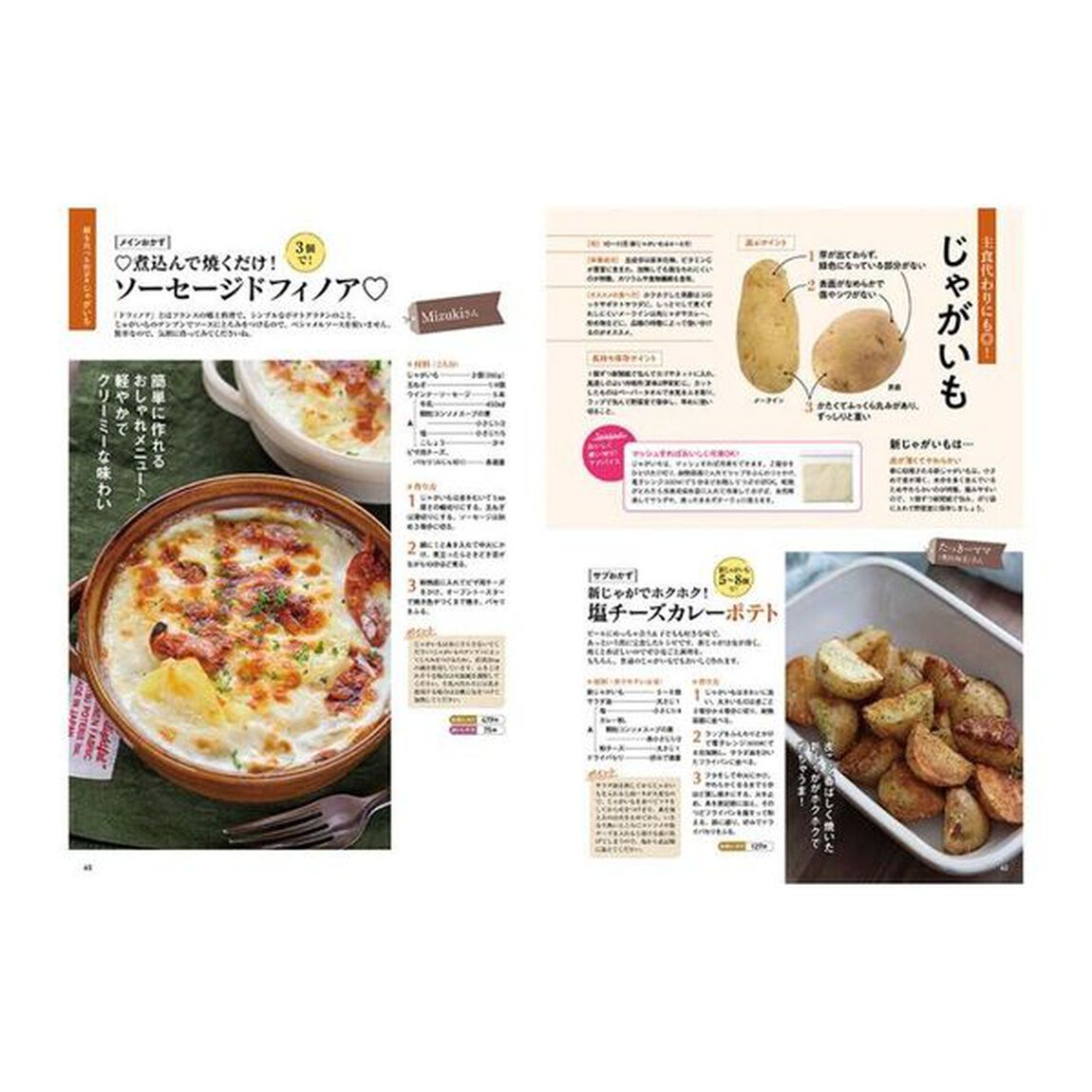 レシピブログのおいしい野菜おかずＢＥＳＴ１００　栄養たっぷり！旬の野菜をおいしく味わう！