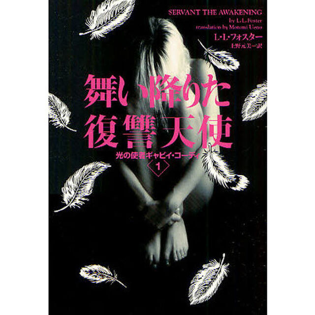 舞い降りた復讐天使