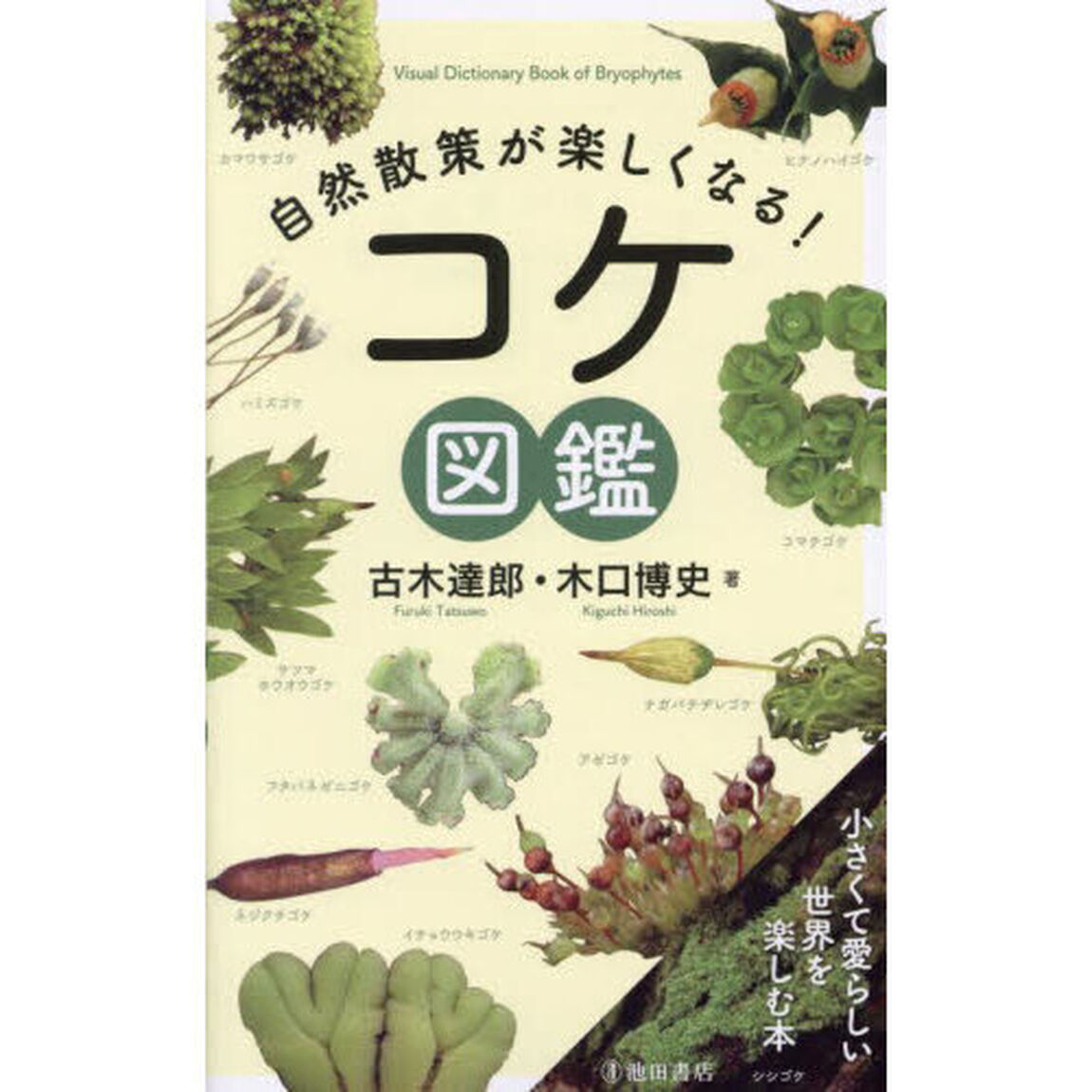 自然散策が楽しくなる！コケ図鑑