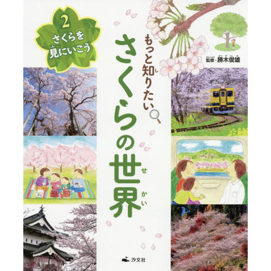 もっと知りたいさくらの世界　２「さくらを見にいこう」