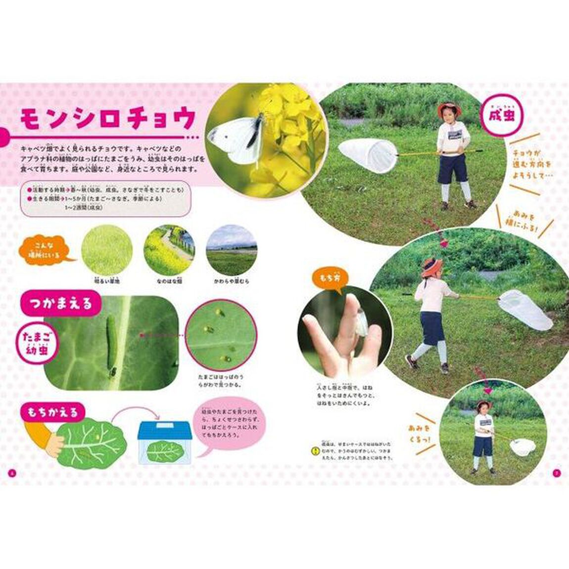 くらべてわかる！こんちゅう図鑑　〔１〕「つかまえ方とかい方」