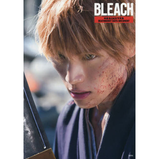 映画 BLEACH 写真集 DEATHBERRY DAYS DOCUMENT