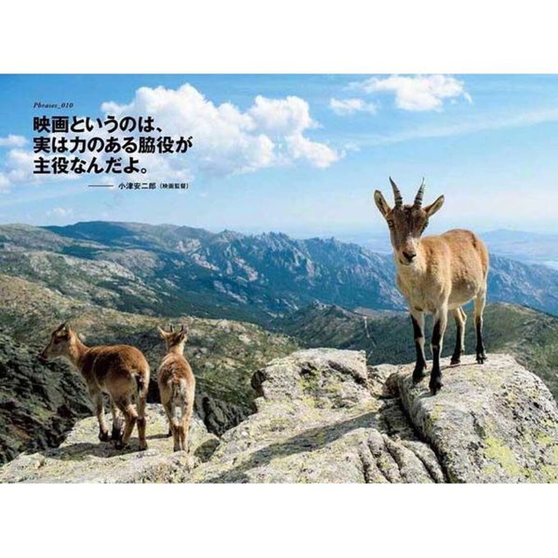 本当の自分に出会える、幸せを呼ぶ１００のことば